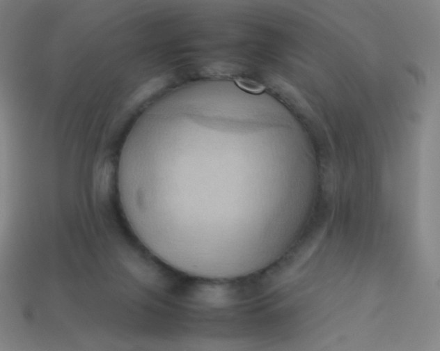 X0000114060071200910191510