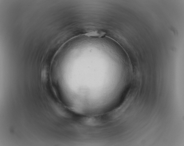 X0000114060074200910191510