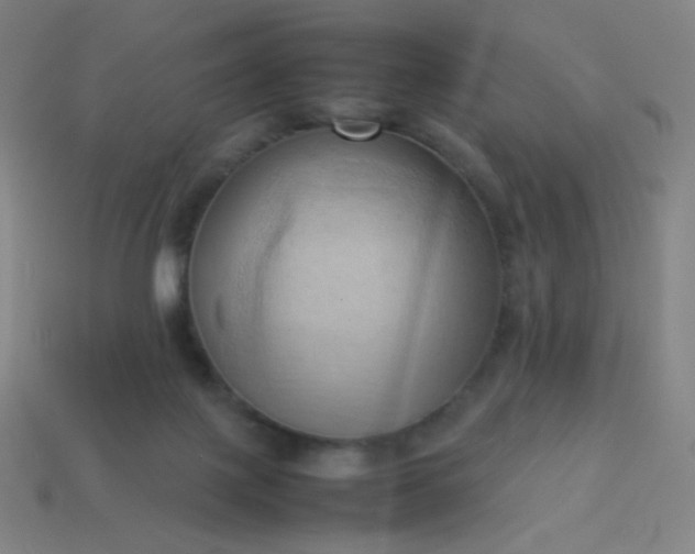 X0000114060075200910191510