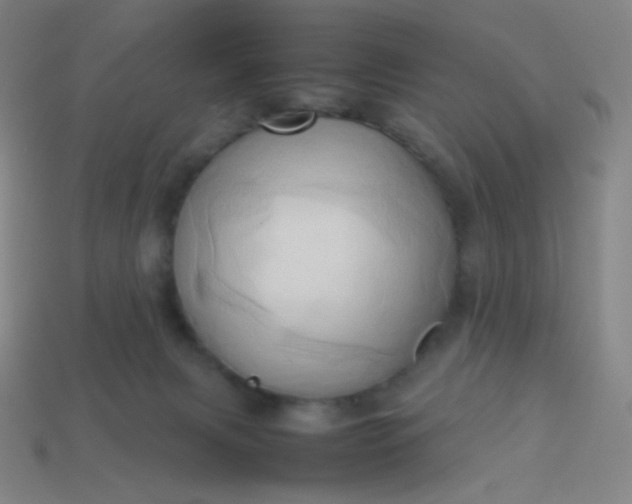 X0000114060079200910191510