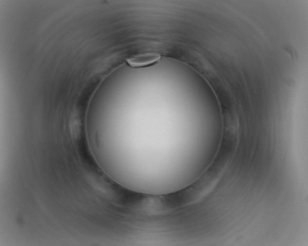 X0000114060080200910191510