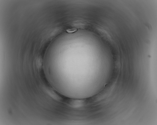 X0000114060081200910191510