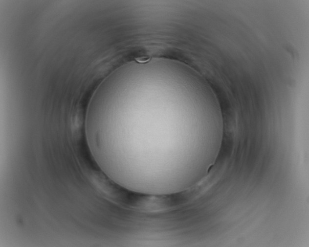 X0000114060082200910191510