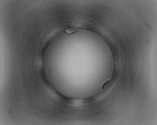 X0000114060085200910191510