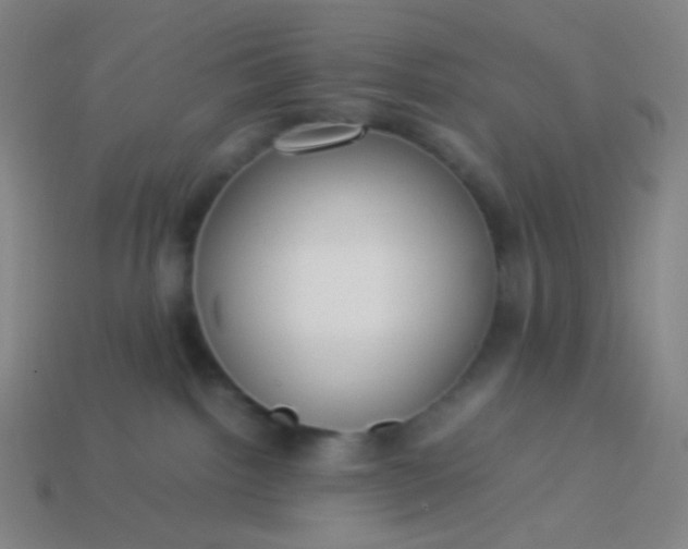 X0000114060092200910191510