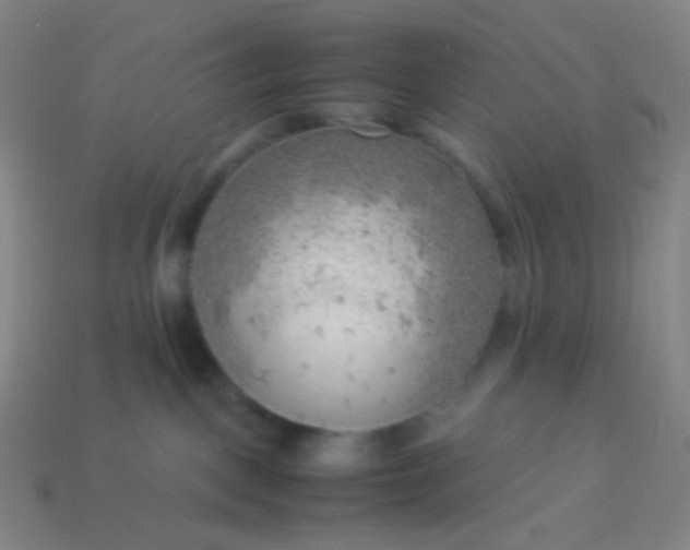 X0000114060093200910191510