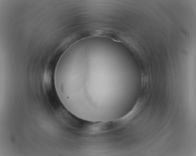 X0000114060094200910191510