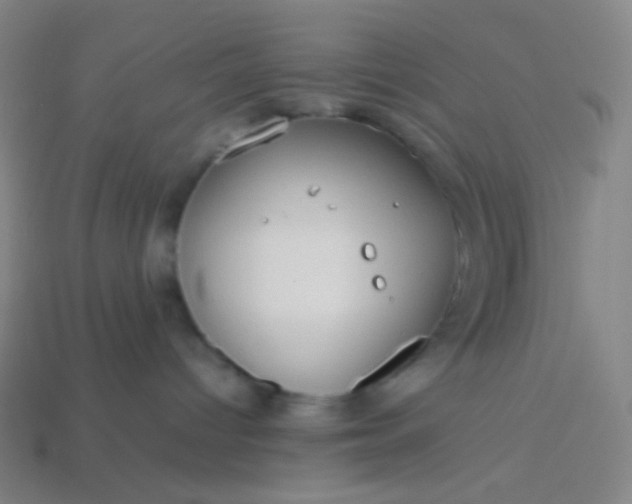 X0000114060096200910191510