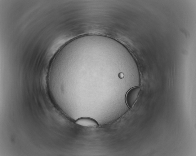 X0000114060098200910191509