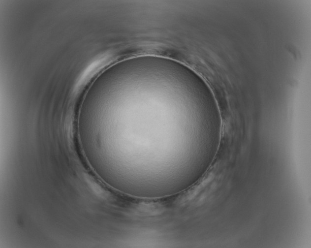 X0000114060101200910191509