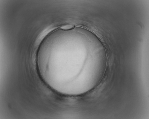 X0000114060103200910191509