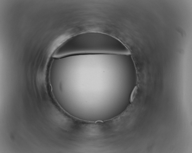 X0000114060104200910191509