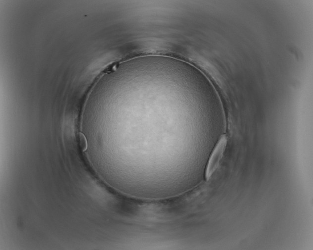 X0000114060105200910191509