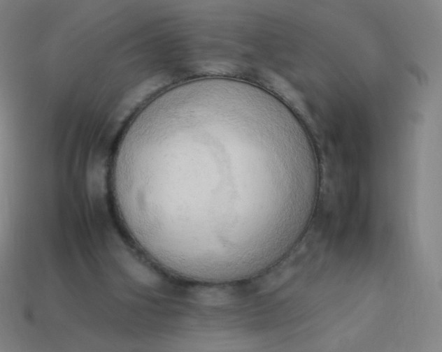 X0000114060106200910191509