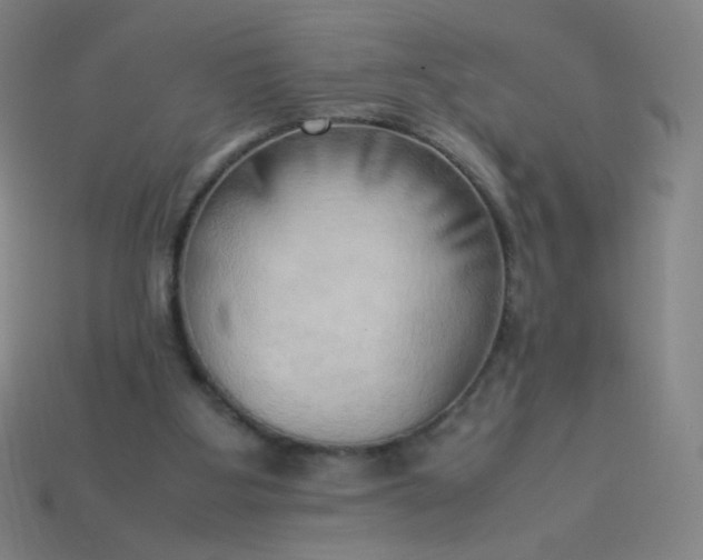 X0000114060107200910191509