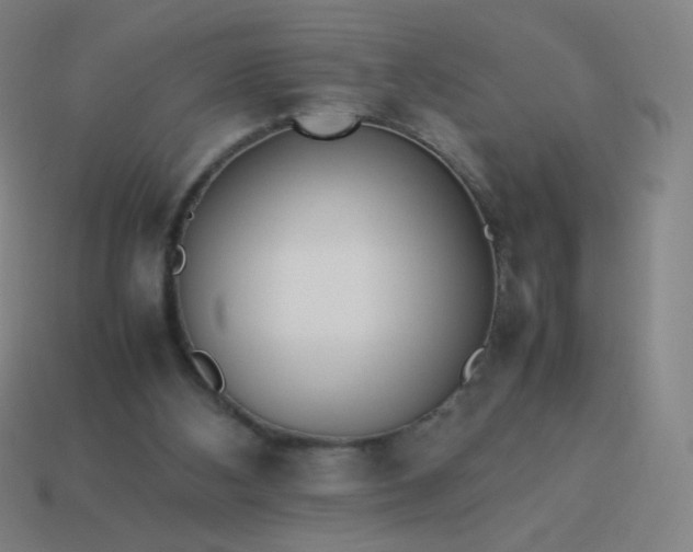 X0000114060108200910191509