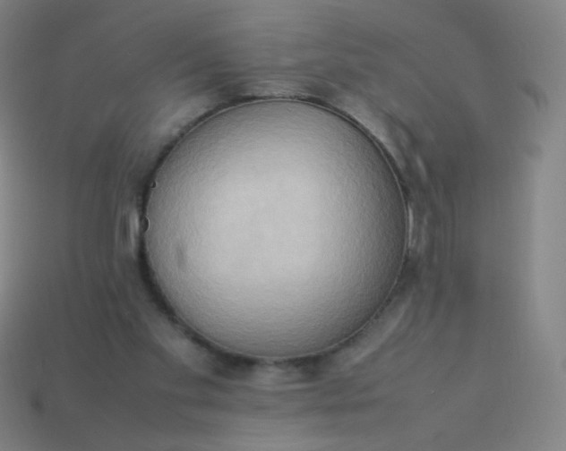 X0000114060109200910191509