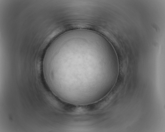 X0000114060111200910191509