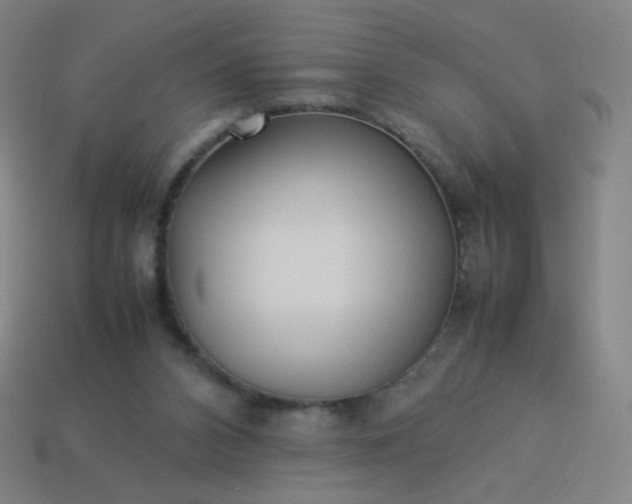 X0000114060112200910191509