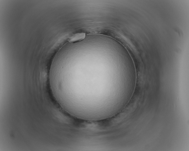 X0000114060113200910191509