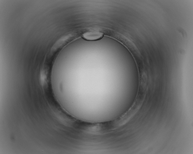 X0000114060116200910191509