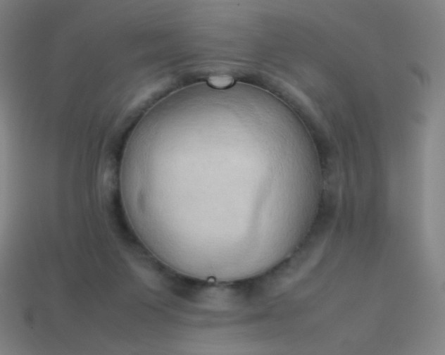 X0000114060119200910191509