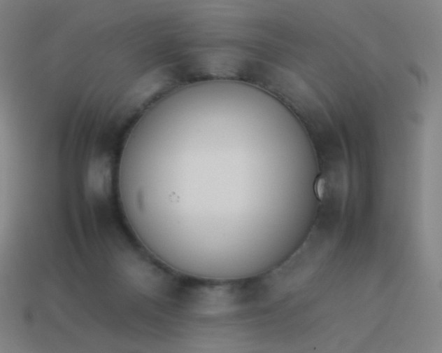 X0000114060120200910191509