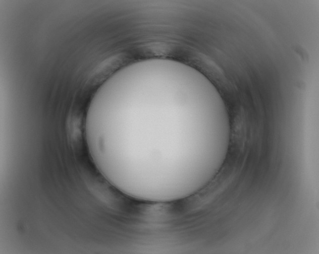 X0000114060122200910191509