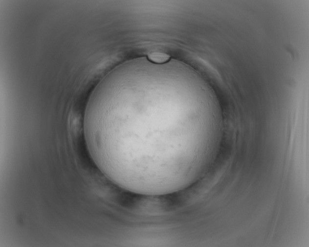 X0000114060123200910191509