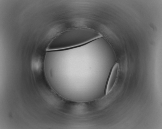 X0000114060124200910191509