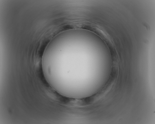 X0000114060125200910191509