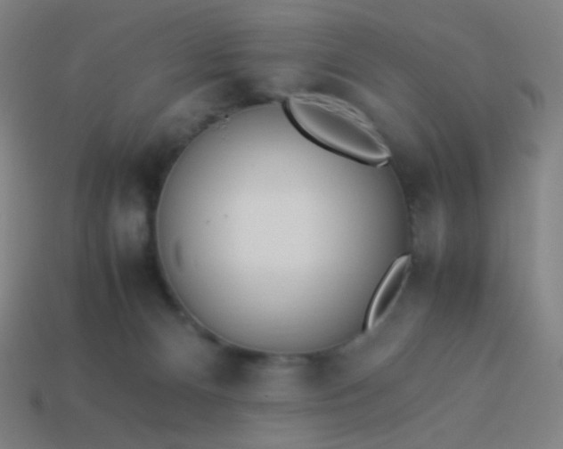 X0000114060128200910191509