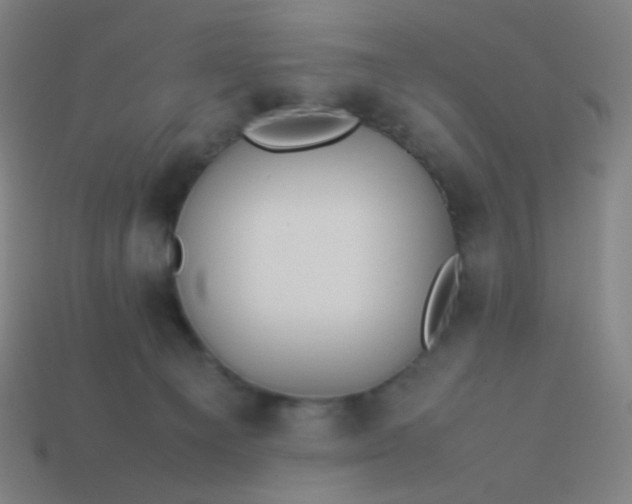 X0000114060129200910191509