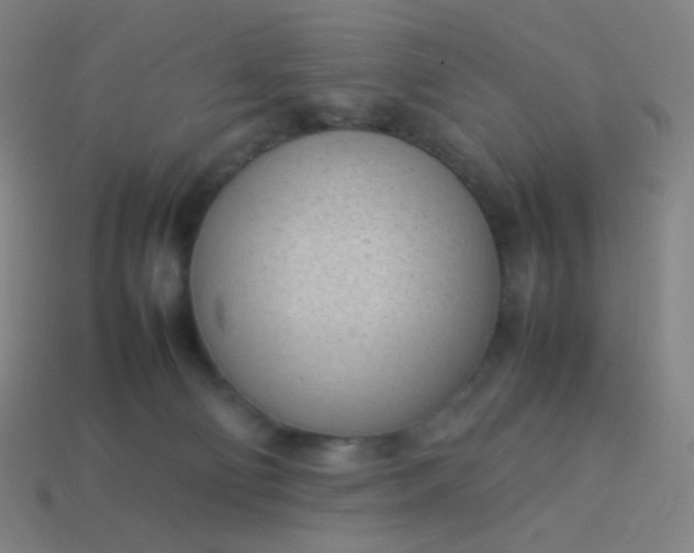 X0000114060130200910191509