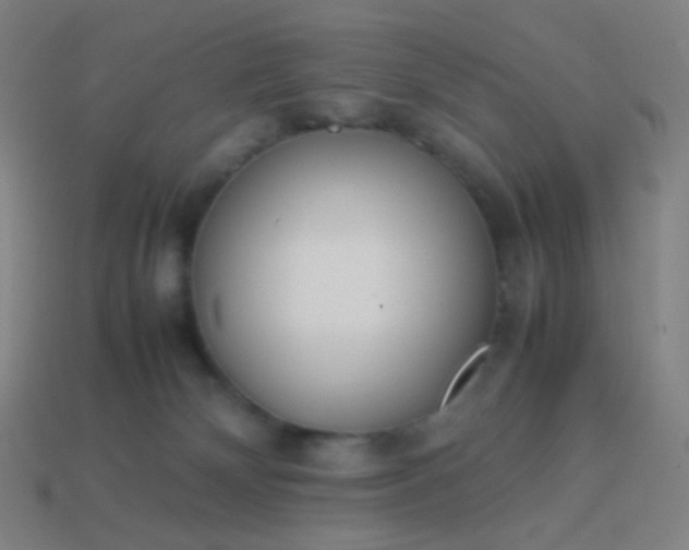 X0000114060132200910191509