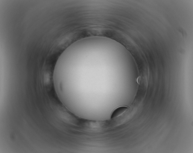 X0000114060134200910191509