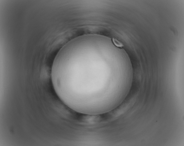 X0000114060135200910191509