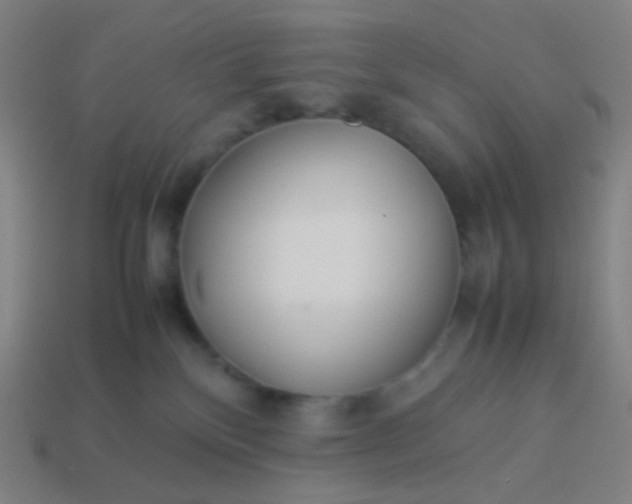 X0000114060136200910191509