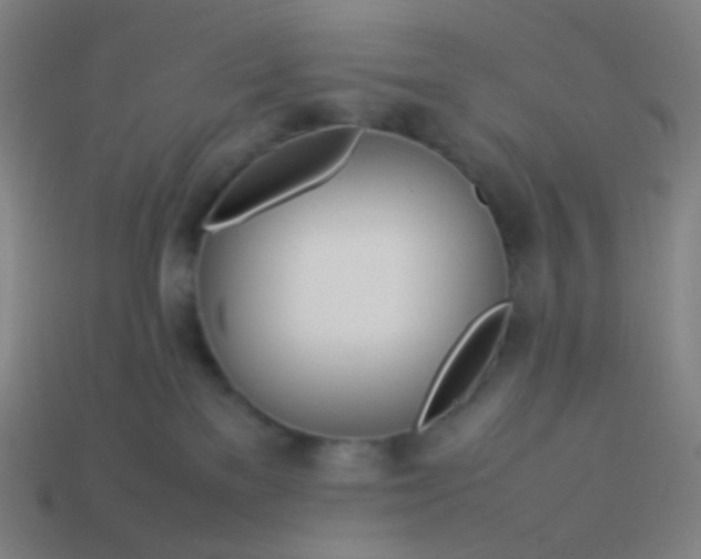 X0000114060137200910191509