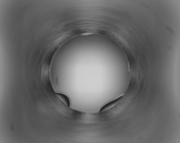 X0000114060141200910191509