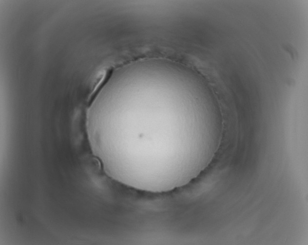 X0000114060144200910191509