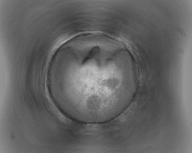 X0000114060145200910191508