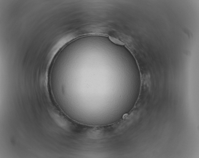 X0000114060148200910191508