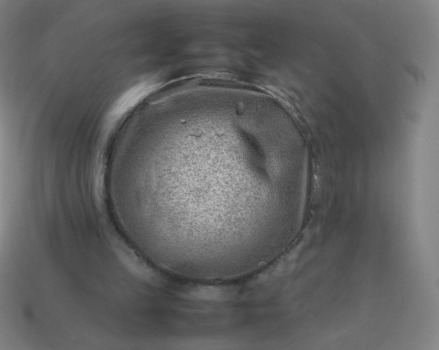 X0000114060149200910191508