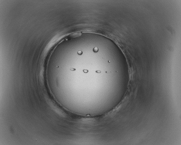 X0000114060150200910191508