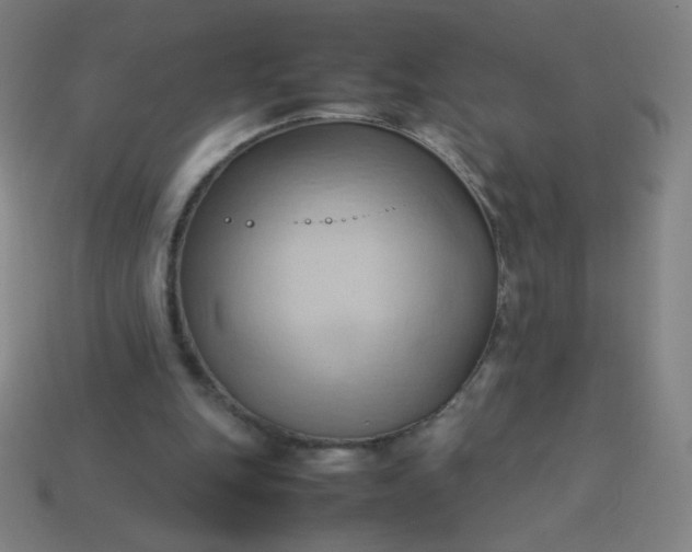 X0000114060151200910191508