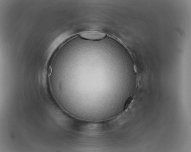 X0000114060152200910191508