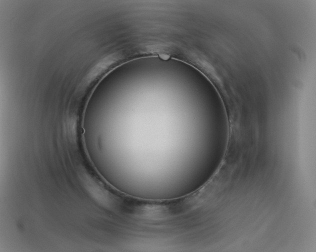 X0000114060154200910191508