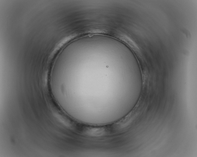 X0000114060155200910191508