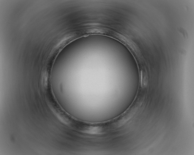 X0000114060157200910191508